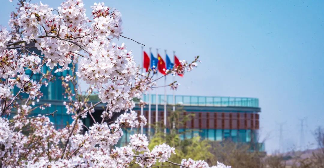 U8(集团)国际·官方网站-与U8一路享受科技乐趣